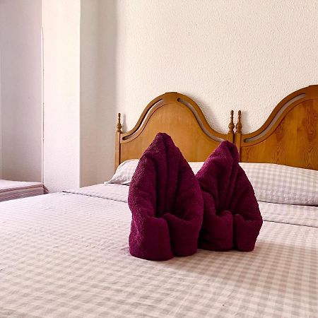 Guest House Arte อาลิกันเต ภายนอก รูปภาพ